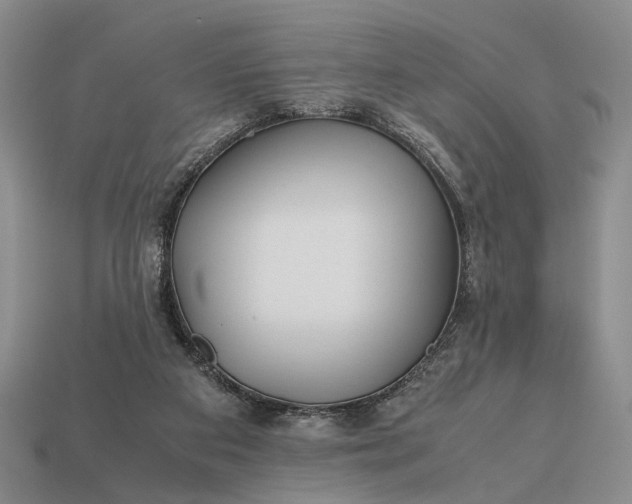 X0000112970113200909101701