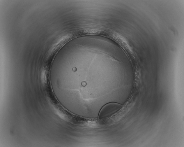 X0000112970114200909101701