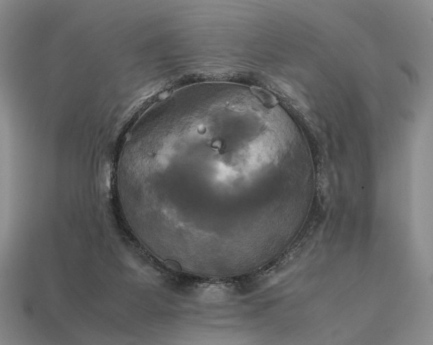 X0000112970115200909101701