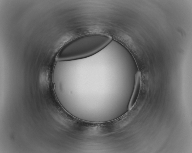 X0000112970116200909101701