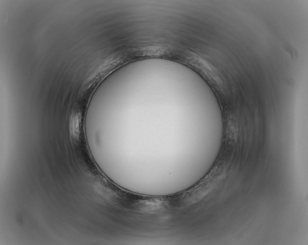 X0000112970118200909101701