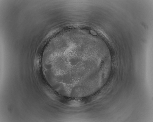 X0000112970119200909101701