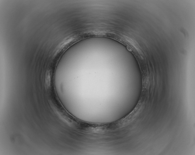 X0000112970120200909101701