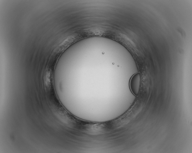 X0000112970122200909101701