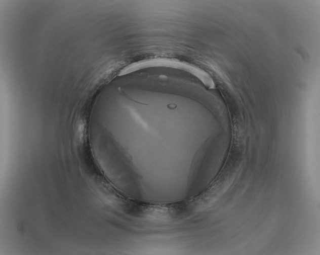 X0000112970123200909101701