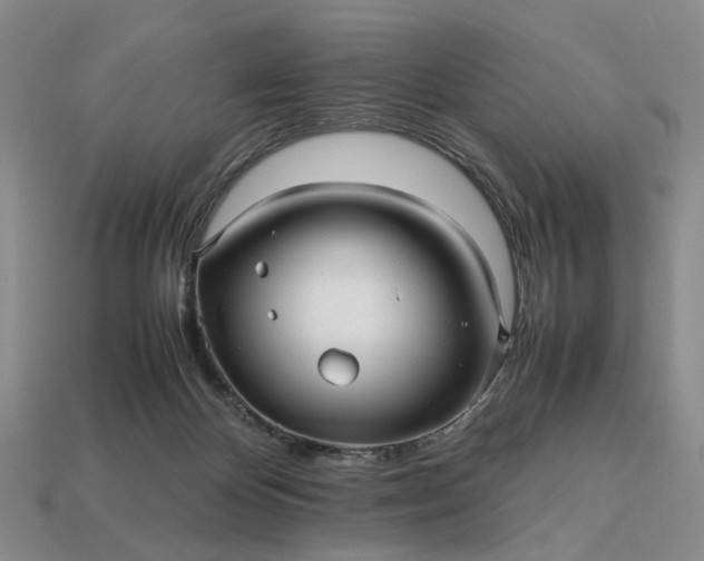 X0000112970124200909101701