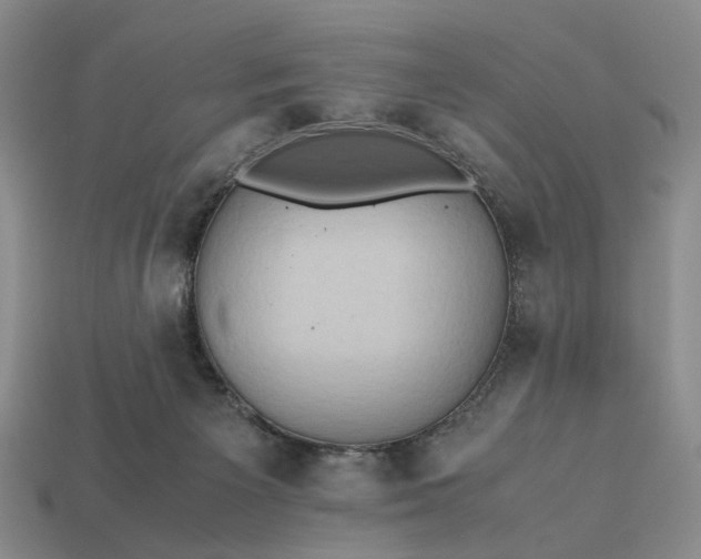 X0000112970125200909101701