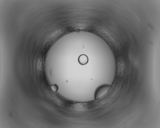 X0000112970126200909101701