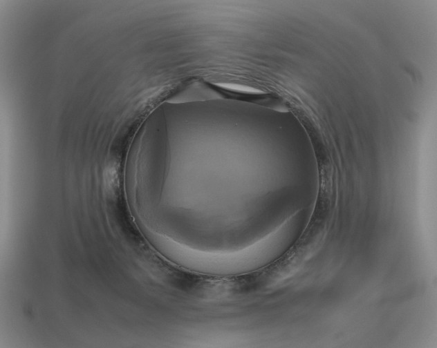 X0000112970127200909101701