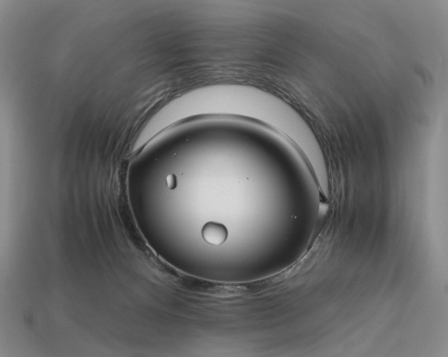 X0000112970128200909101701