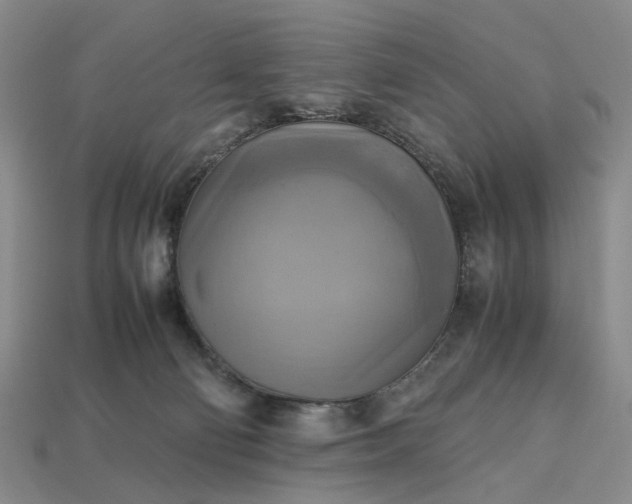 X0000112970130200909101701