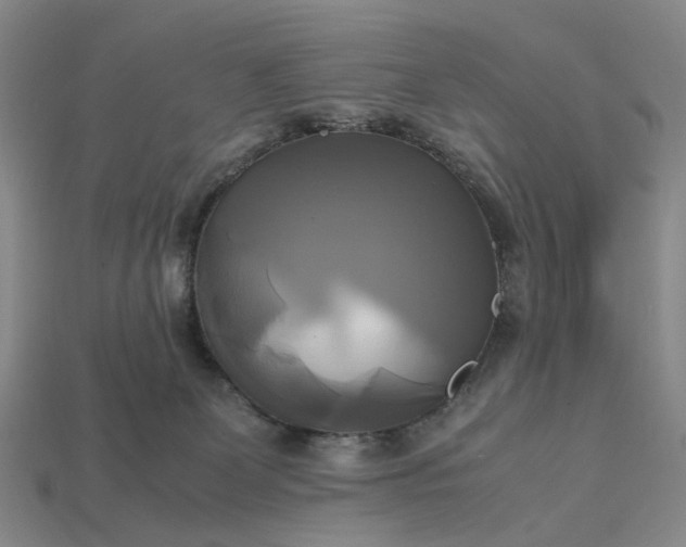 X0000112970131200909101701