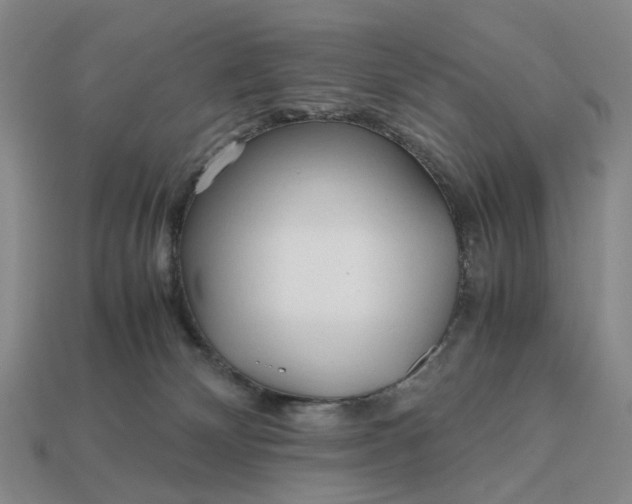 X0000112970132200909101701