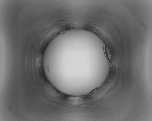 X0000112970133200909101701