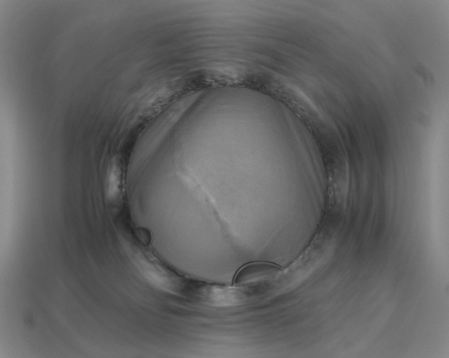 X0000112970134200909101701