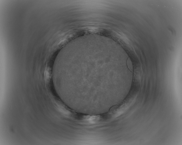 X0000112970135200909101701