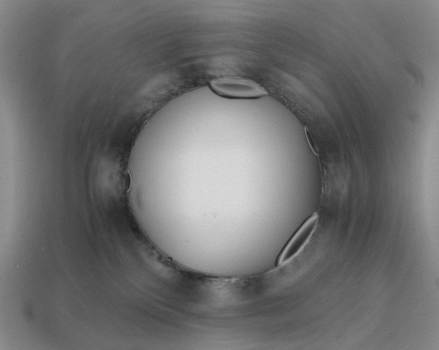 X0000112970136200909101701