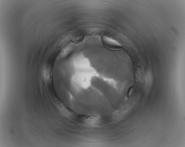 X0000112970138200909101701