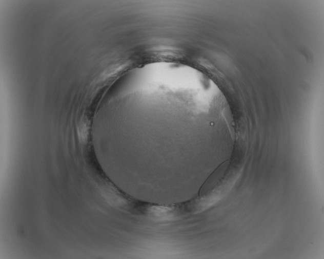 X0000112970139200909101701