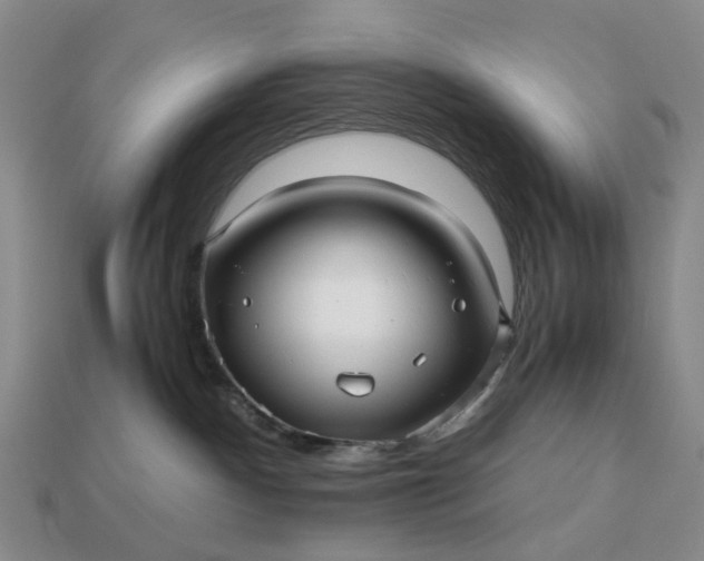 X0000112970140200909101701