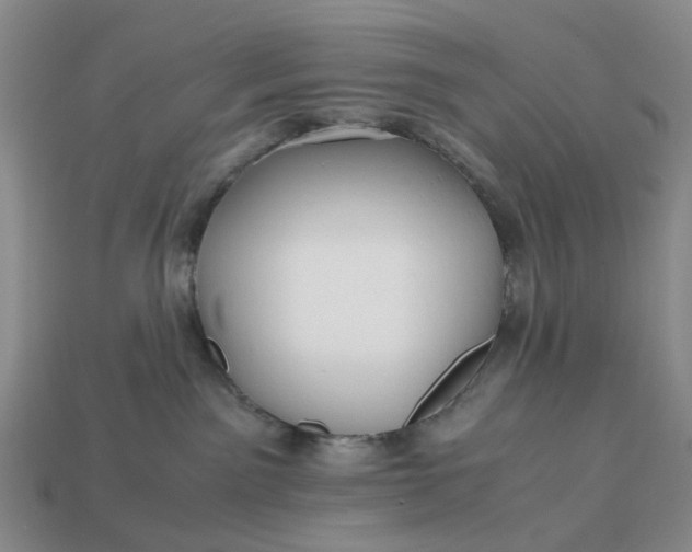 X0000112970141200909101701