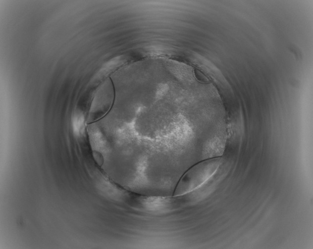 X0000112970142200909101701