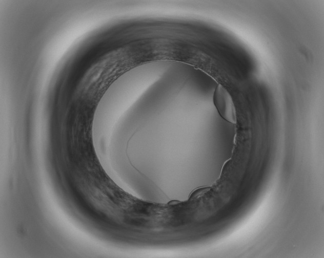 X0000112970143200909101701