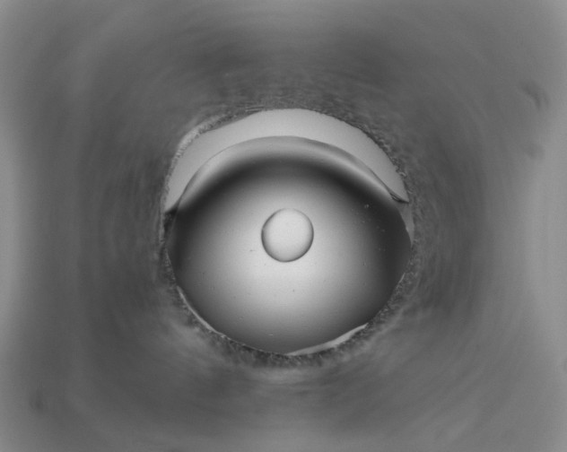 X0000112970144200909101701