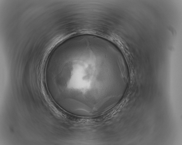 X0000112970145200909101700