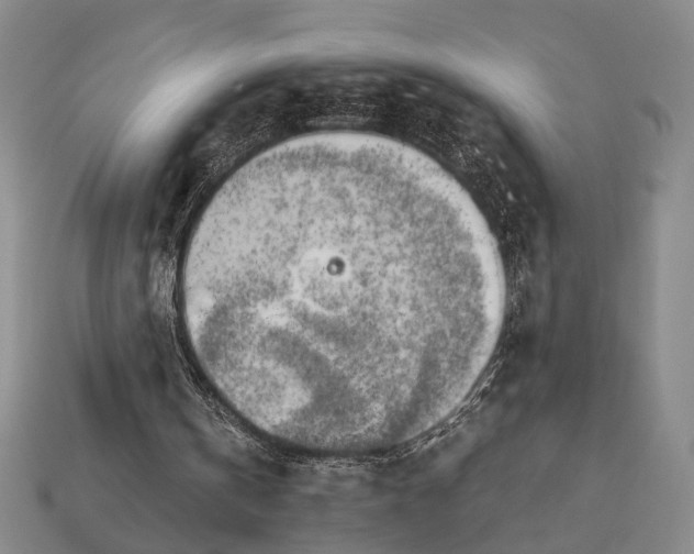 X0000112970146200909101700