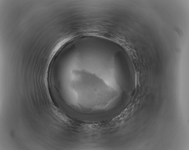 X0000112970147200909101700