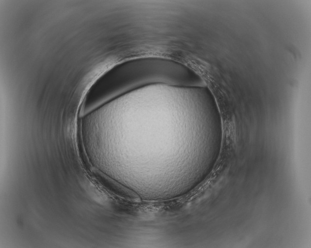 X0000112970148200909101700