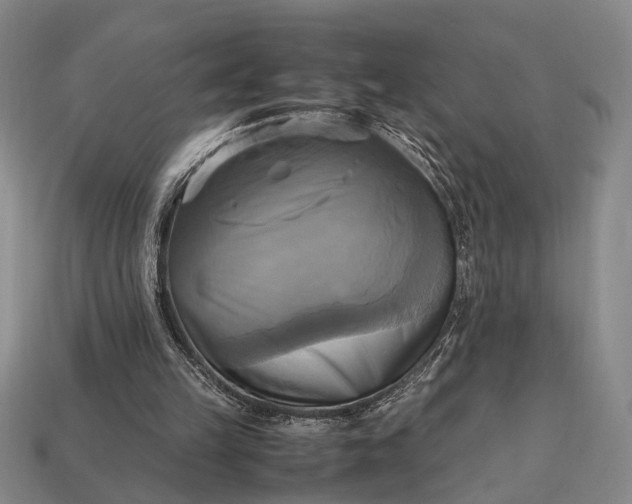 X0000112970149200909101700