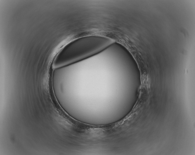 X0000112970150200909101700