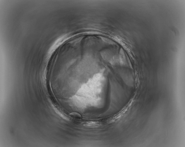 X0000112970151200909101700