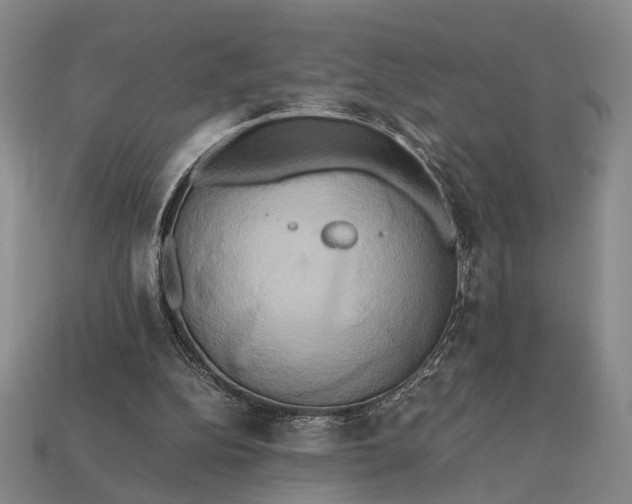 X0000112970152200909101700