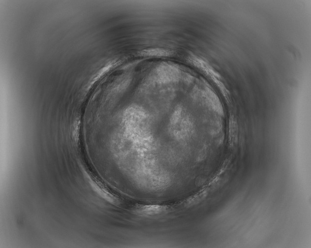 X0000112970153200909101700