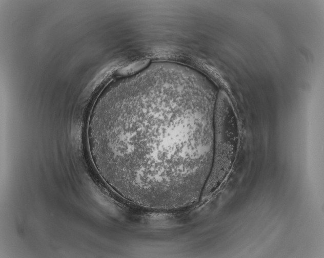 X0000112970154200909101700