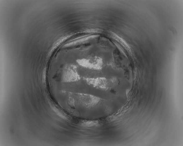 X0000112970155200909101700