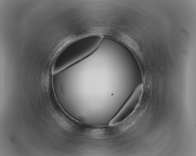 X0000112970156200909101700