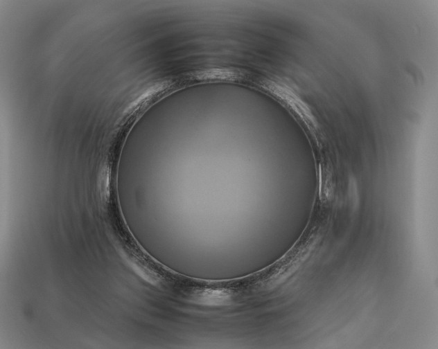 X0000112970157200909101700