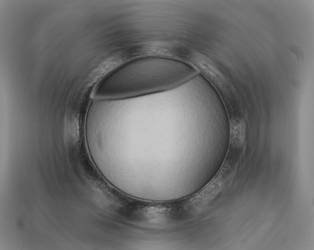 X0000112970158200909101700