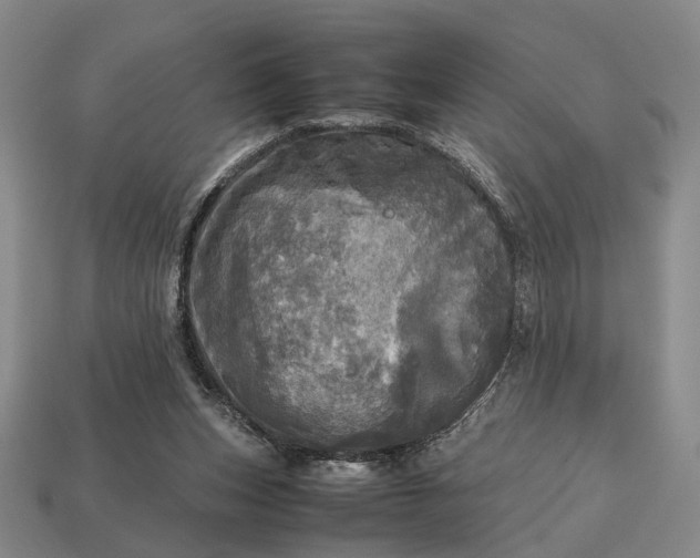 X0000112970159200909101700