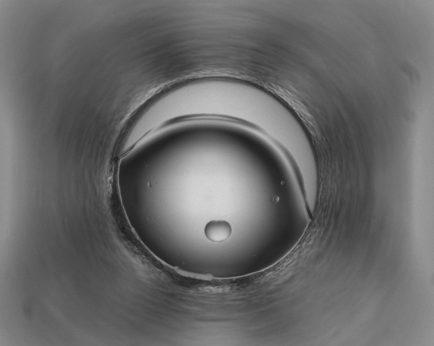 X0000112970160200909101700