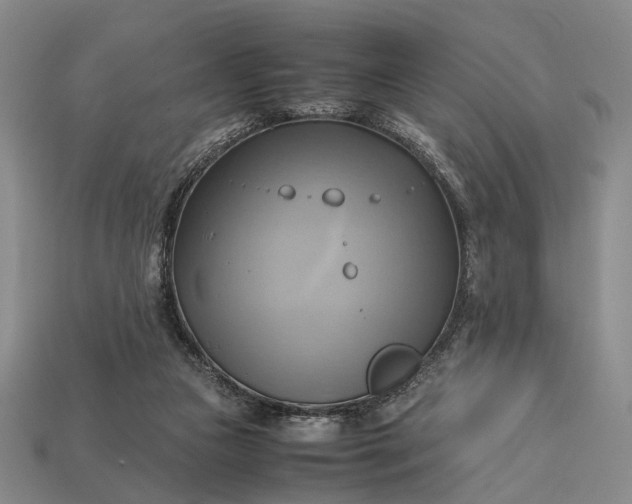 X0000112970161200909101700