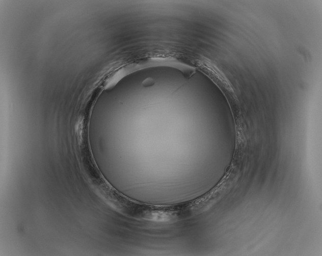 X0000112970163200909101700