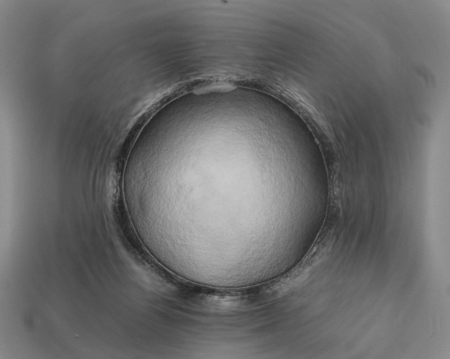 X0000112970164200909101700