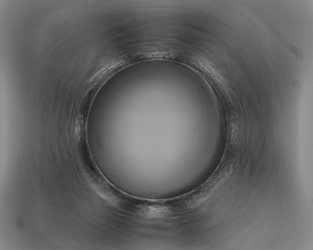 X0000112970165200909101700