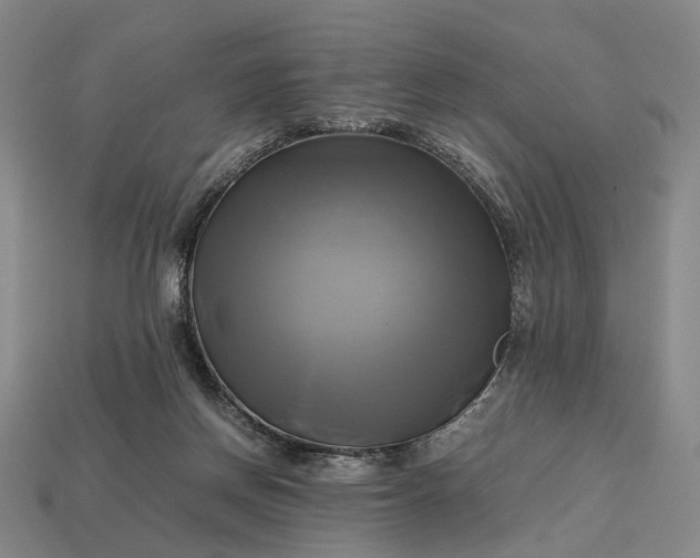 X0000112970166200909101700