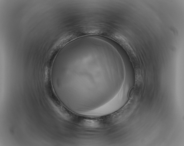 X0000112970167200909101700